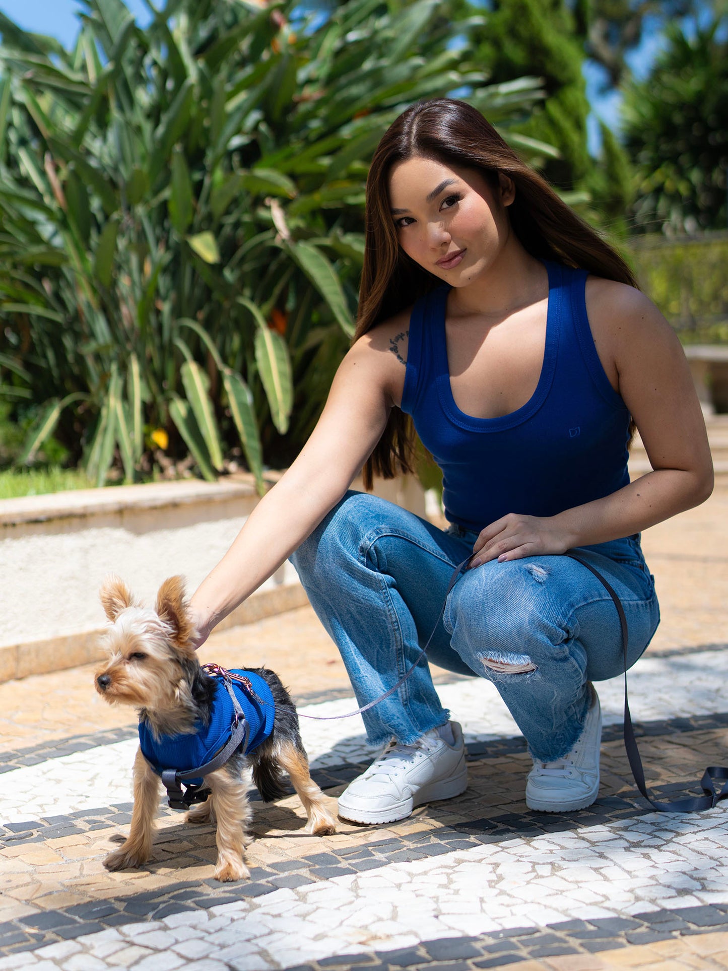 Kit Peitoral com Guia Cinza – dogmatch PET