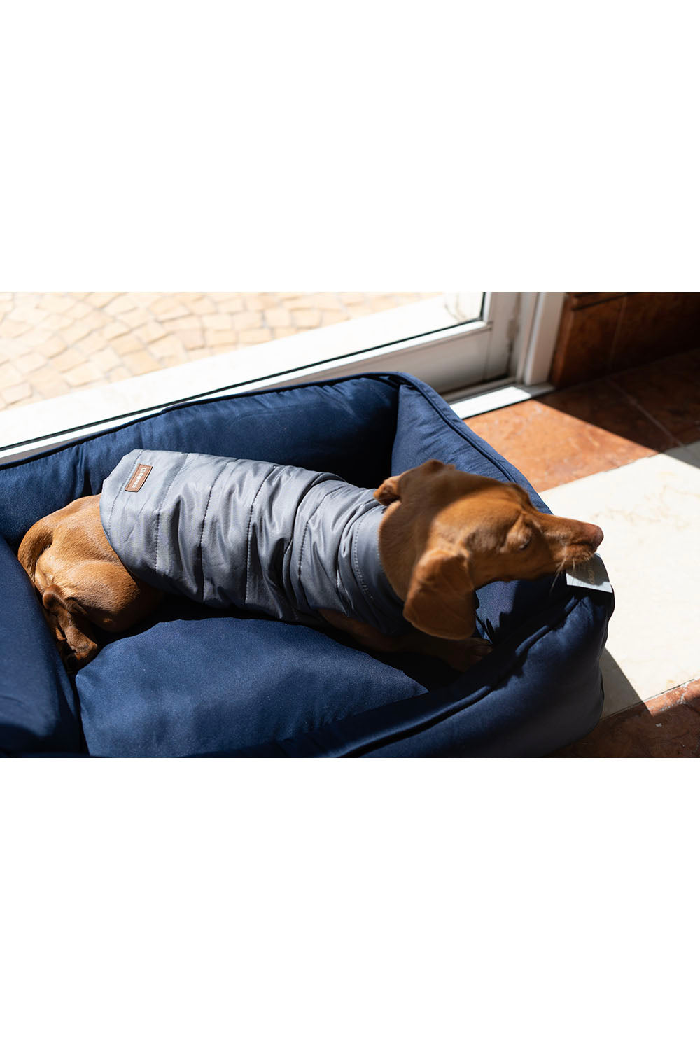Cama Blue Comfort – dogmatch PET