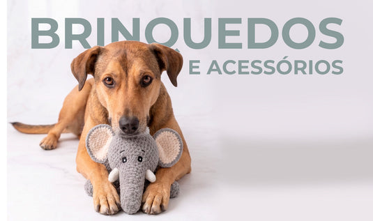 Brinquedos e acessórios