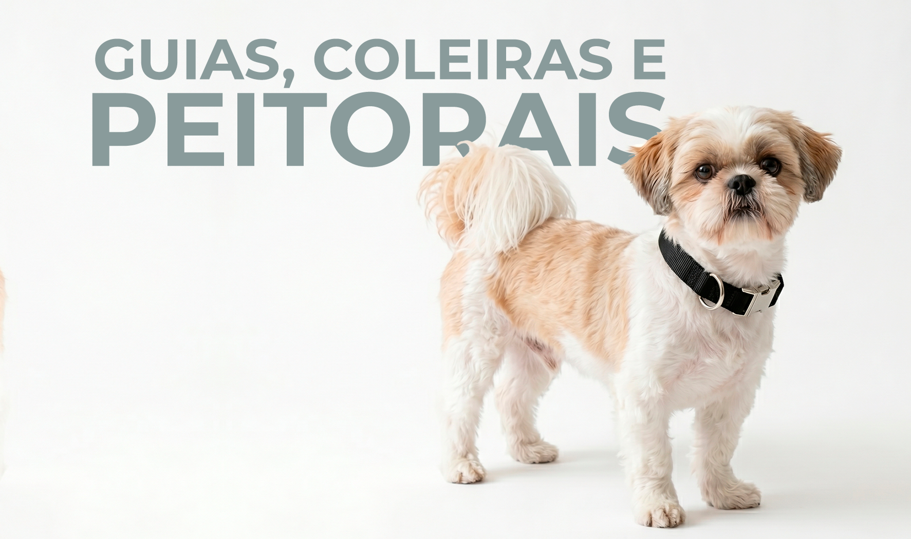 Coleiras