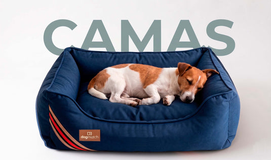 Camas