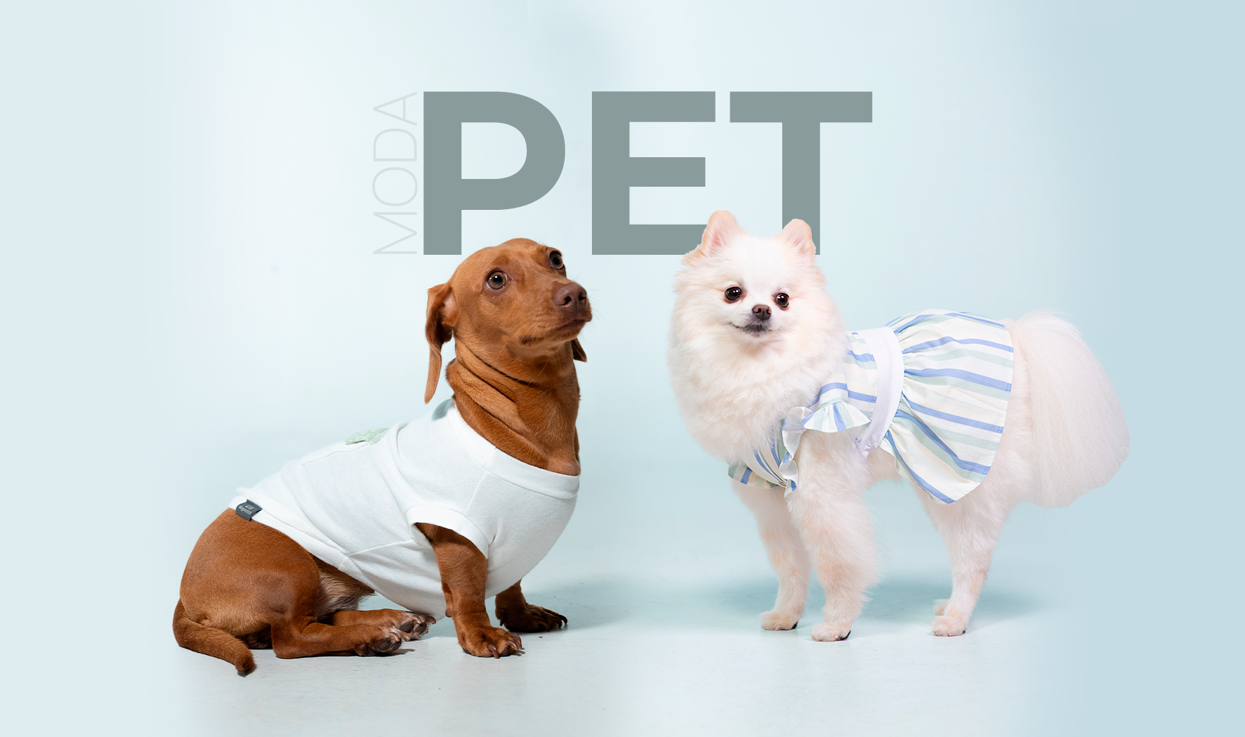 Moda Pets