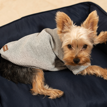 Blusa de Tricô Cinza Roma – dogmatch PET