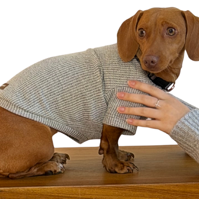 Blusa de Tricô Cinza Roma – dogmatch PET