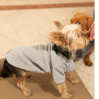 Blusa de Tricô Cinza Roma – dogmatch PET