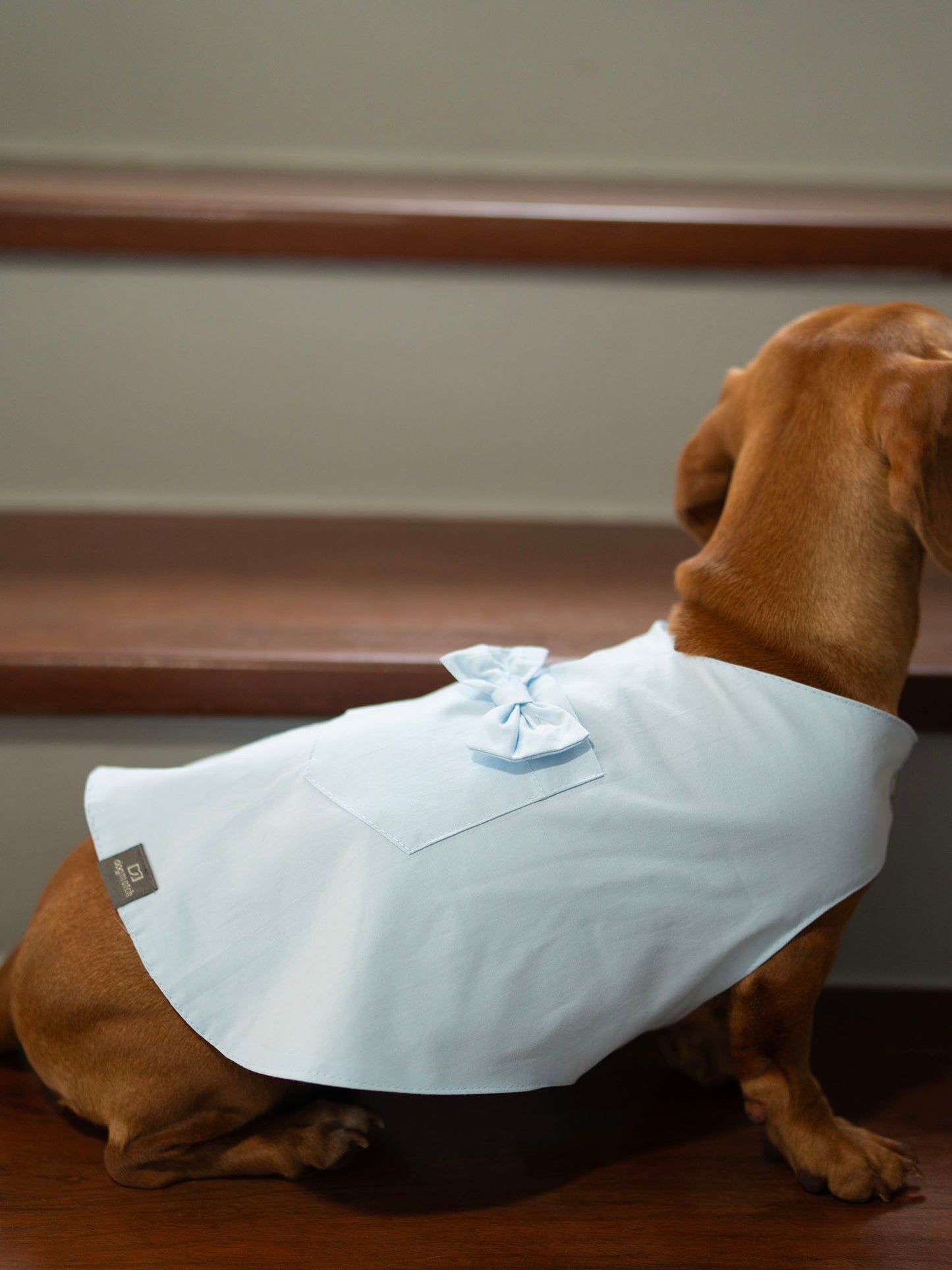 Blusa Capa Look Côte d’Azur Laço e Bolso – dogmatch PET