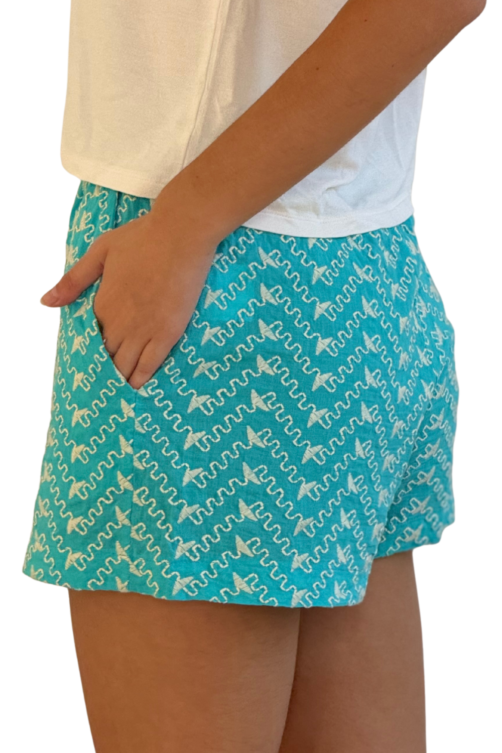 Short de Laise Santorini – dogmatch