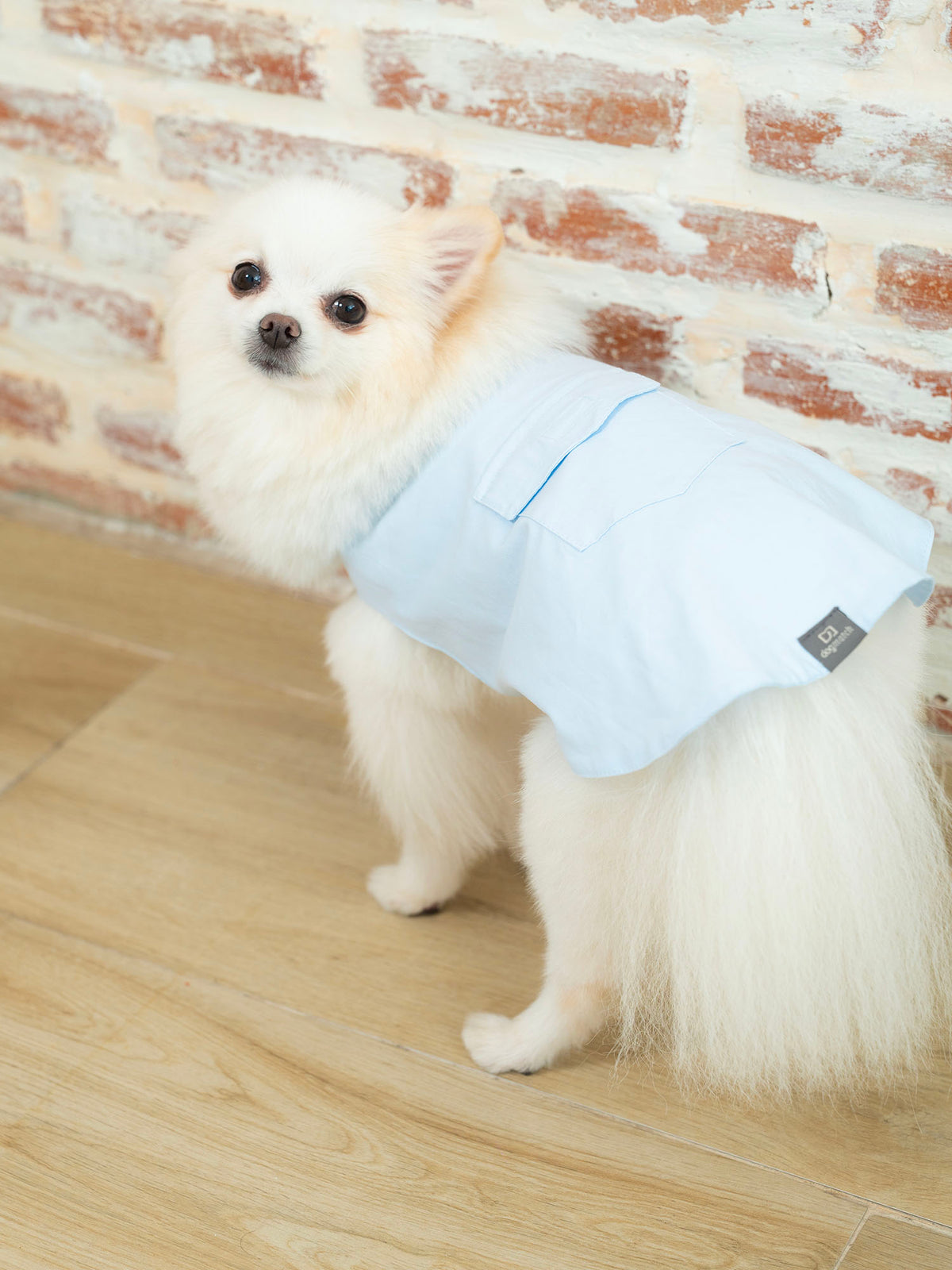 Blusa Capa Look Côte d’Azur com Bolso – dogmatch PET
