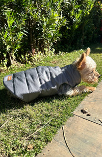 Colete Faria Limer Cinza-Chumbo – dogmatch PET