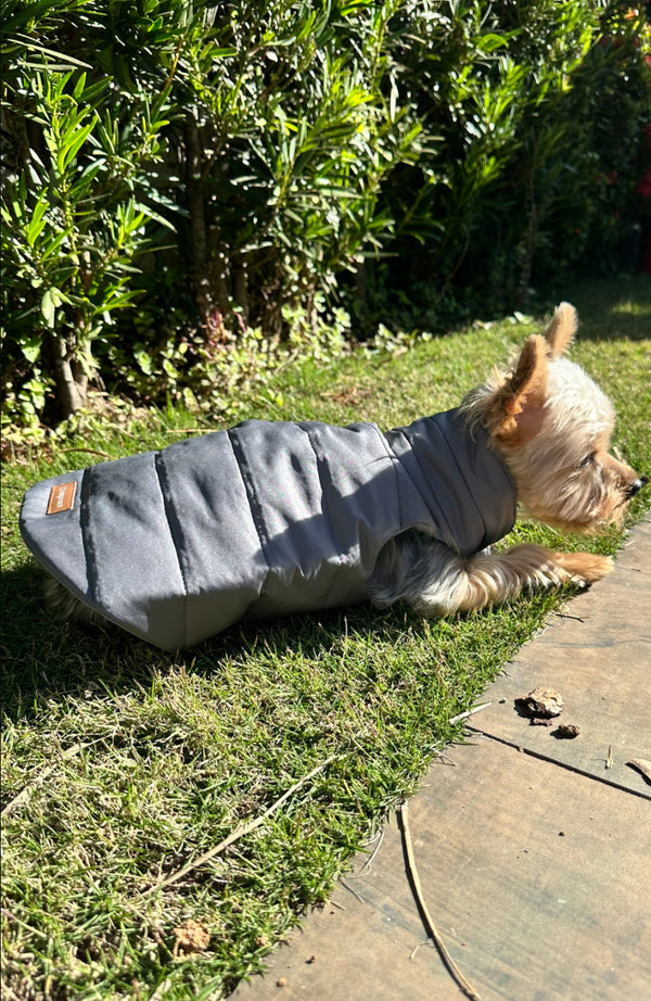 Colete Faria Limer Cinza-Chumbo – dogmatch PET