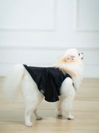 Vestido Preto Midnights – dogmatch PET
