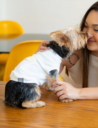 Camiseta Outfit Verona com Bolso – dogmatch PET