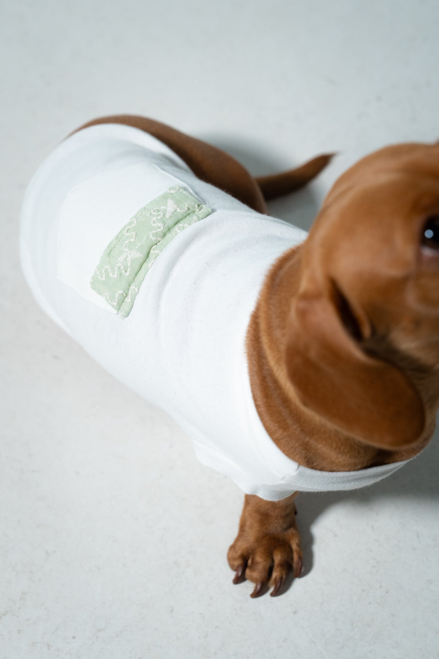 Camiseta Santorini com Bordado – dogmatch PET