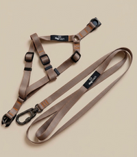 Kit Peitoral com Guia Caqui – dogmatch PET