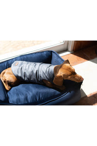 DOG035