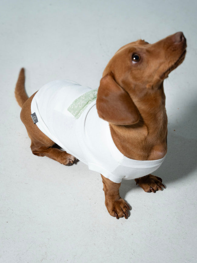 Camiseta Santorini com Bordado – dogmatch PET