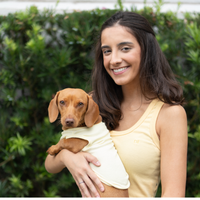 Regata Ibiza – dogmatch PET