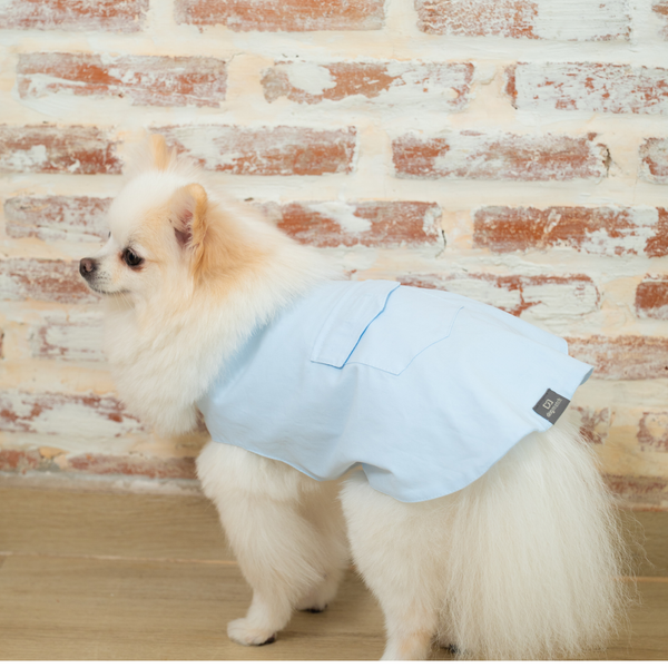 Blusa Capa Look Côte d’Azur com Bolso – dogmatch PET